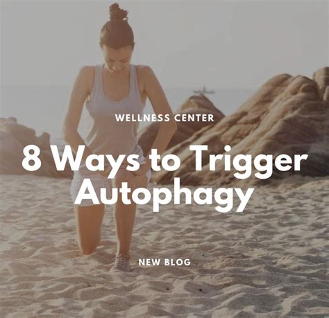 Autophagy Top Benefits And 4 Ways How To Induce Artofit