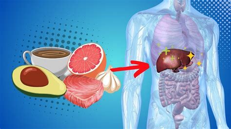 Liver Recharge Top Super Foods That Revitalize Your Liver Youtube