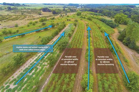 Images Of Keyline Keypoint Berms And Terraces Share For Teaching