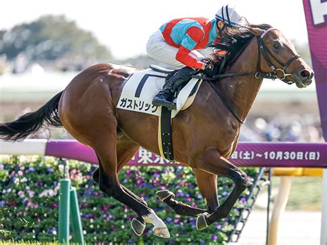 【ホープフルs】東スポ杯2歳sの覇者ガストリック 偉大な先輩たちに続きgi初制覇なるか 競馬ニュース Netkeiba