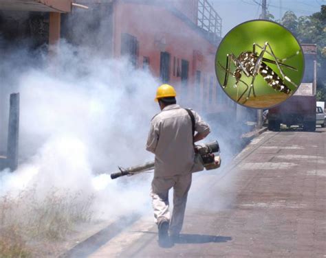 Dengue En Veracruz Casos Aumentan 600 Por Ciento En 2023 E Veracruz