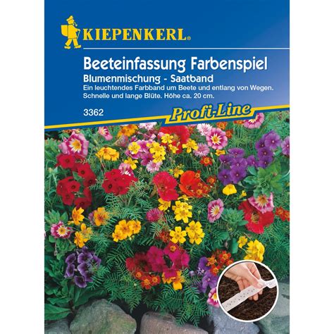 Kiepenkerl Beeteinfassung Farbenspiel Blumenmischung Mehrfarbig