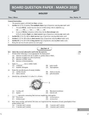 Fillable Online Cbse Class Sociology Sample Paper With