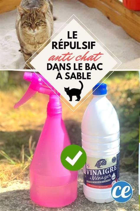 Vinaigre Blanc Le Meilleur Répulsif Pour Empêcher les Chats de Faire