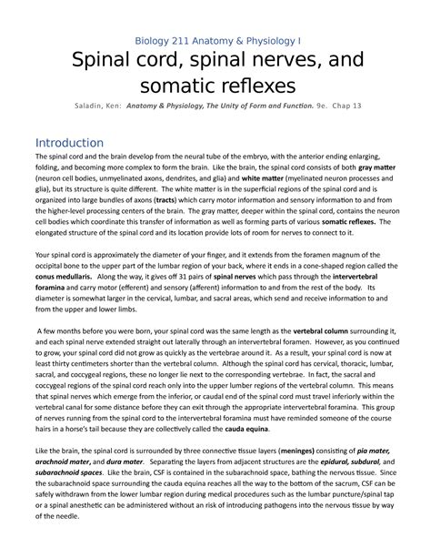 Biol Spinal Cord Spinal Nerves Somatic Reflexes Lab Fall