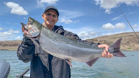 Columbia River Spring Chinook Update - Lance Fisher Fishing