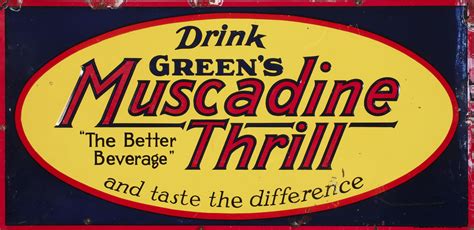 #269: A RARE 1930s MUSCADINE THRILL SODA POP ADVERTISING SIGN