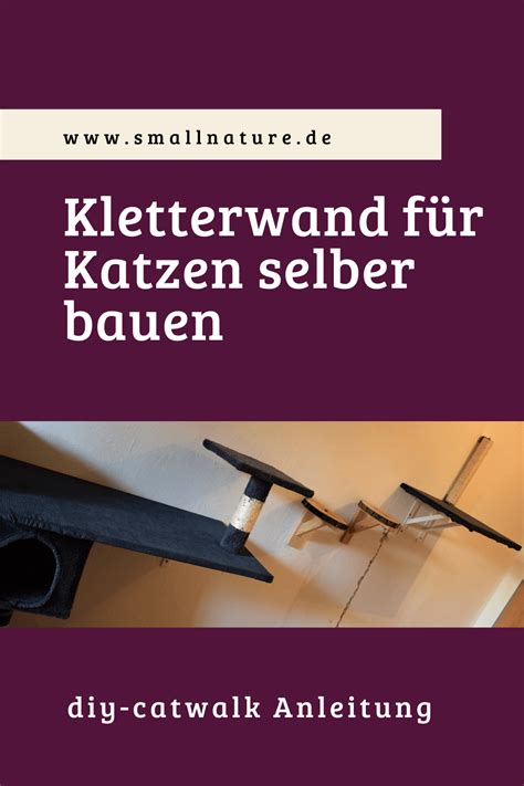 Kletterwand Für Katzen Selbst Bauen Diy Catwalk Anleitung Katzen