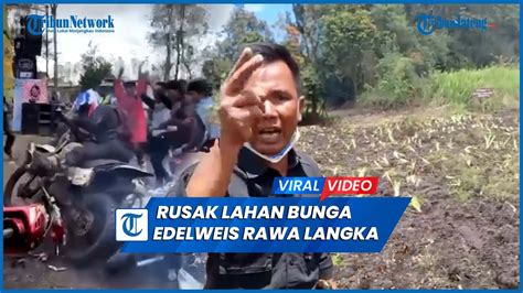 Viral Event Motor Trail Di Ranca Upas Rusak 1 5 Hektare Lahan Bunga