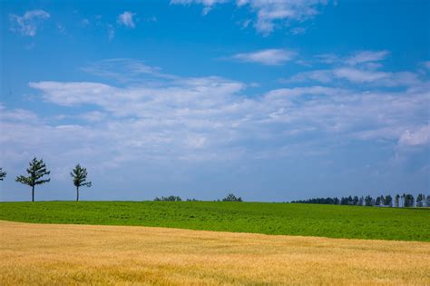 草原 写真 フリー~草原 写真 フリー ~ イラスト画像集