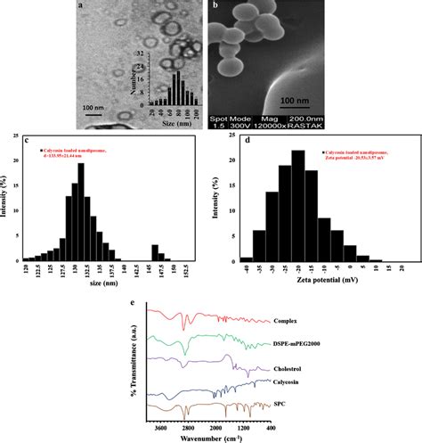 A Tem Inset Size Distribution Histogram B Sem C Dls Histogram D