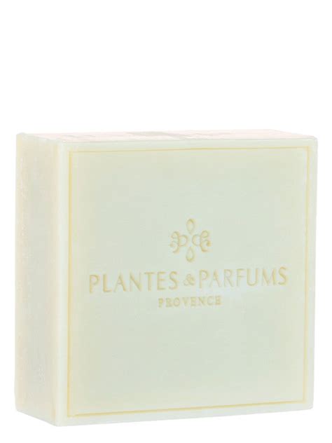 Savon De Marseille L Huile D Olive G Olive Plantes Parfums