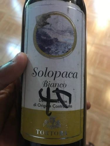 Vincenzo Tortora Solopaca Sannio Bianco Vivino