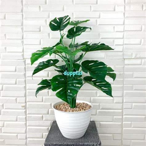 Jual Pohon Daun Monstera Tapak Gajah X18 Latex Artificial Pot Tawon