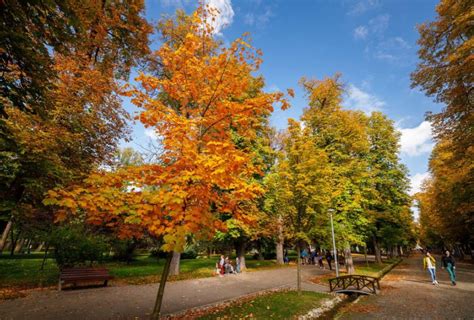 Temperaturi în creștere și vreme caldă la început de februarie