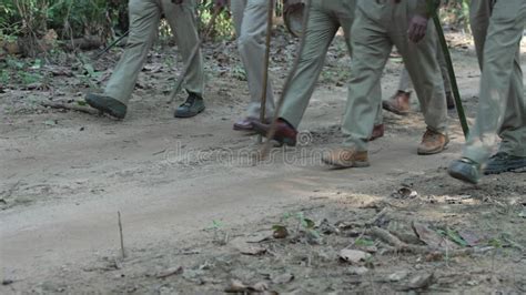 Forest Officials Patrol Stock Footage Video Of Nature