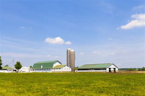 Dairy Farm Stock Photos Royalty Free Dairy Farm Images Depositphotos