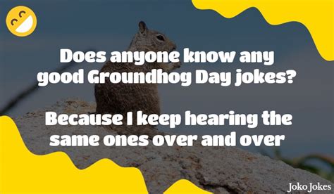 36+ Groundhog Jokes And Funny Puns - JokoJokes