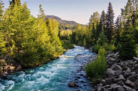 White Water River With Rocks And Pine Trees In Whistler Bc Stock Image