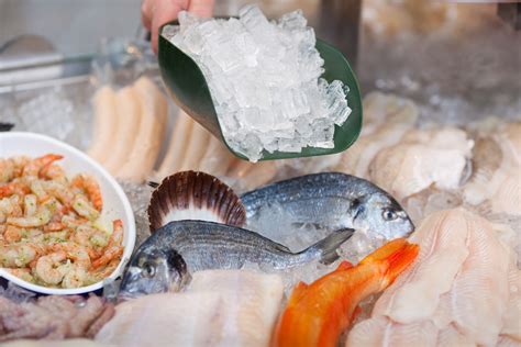 Fabrication De Glace Pour Poissonnerie Nos Conseils Pour Des Poissons