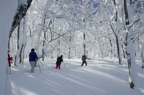 滑るだけがスキーじゃない スキーハイクって何 八幡平ビジターセンター Hachimantai Visitor Center