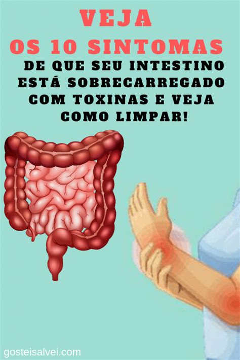 Veja Os 10 Sintomas De Que Seu Intestino Está Sobrecarregado