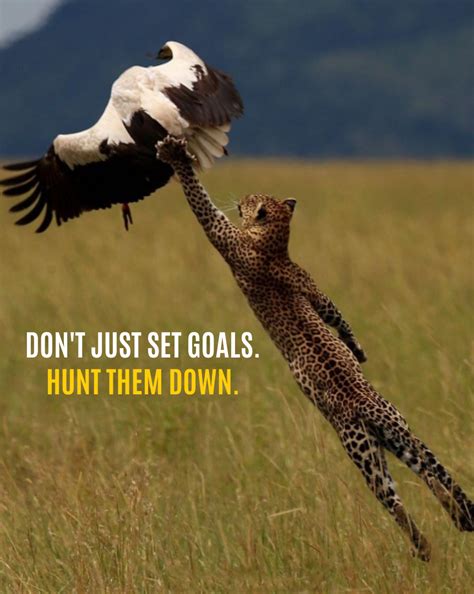 Dont Just Set Goals Hunt Them Down 🎯 Inspirational Quotes