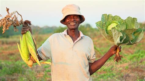 Cuál es la relación entre la agricultura sostenible y la seguridad