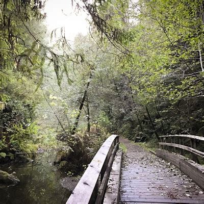 Hike Van Damme State Park, Fern Canyon Trailhead