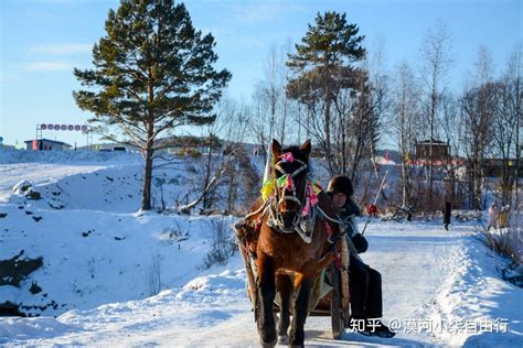 漠河真的能看到极光吗？冬天去漠河旅行全攻略 知乎