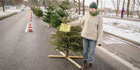 Möbel Höffner in Kiel Baum Demo gegen Möbelhaus auf dem Westring