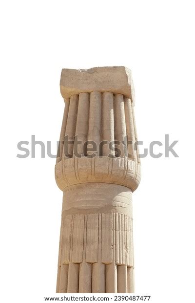 Best Egyptian Lotus Column Royalty Free Images Stock Photos And Pictures