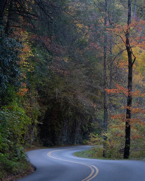 Winding Road Photograph by Forest Floor Photography - Pixels