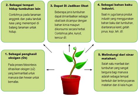 manfaat tumbuhan bagi hewan homecare