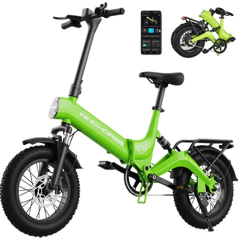 Lohoms 16 Folding Adult Electric Bike 20mph 30 Mile 350W 3 Riding