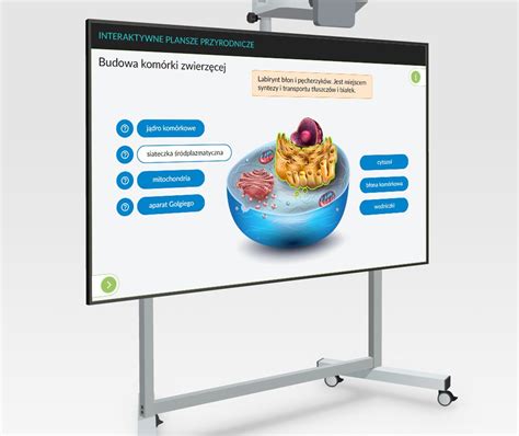 Interaktywne Plansze Przyrodnicze Ipp Biologia Avc Edukacja