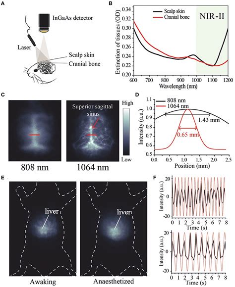 Frontiers Recent Progress In NIR II Contrast Agent For Biological Imaging