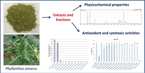 Medicines Free Full Text Physicochemical Properties Antioxidant