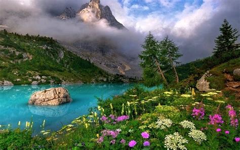 Download Tree Grass Cloud Flower Lake Mountain Landscape Earth Nature