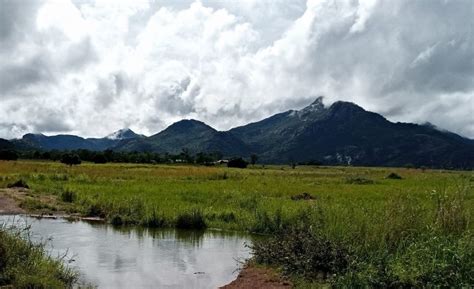 Wetlands in Uganda: Biodiversity Hotspots and Ecosystem