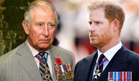 Prince Harry hopes to introduce King Charles to Grandchildren