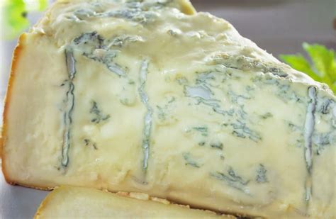 Gorgonzola, the cheese that lives | Italian Food Excellence