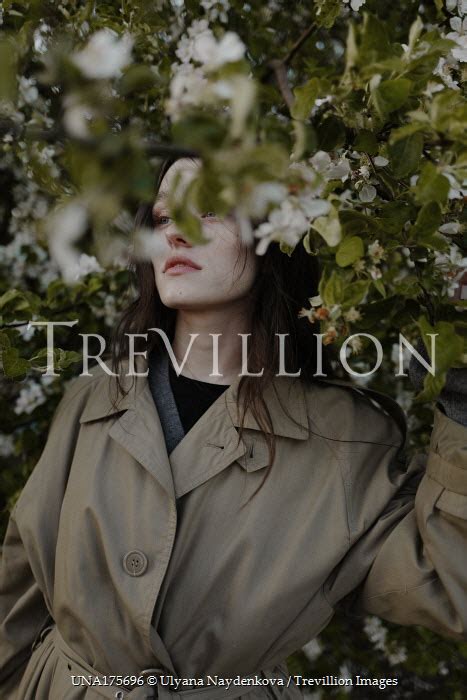 Trevillion Images