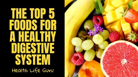 The Top 5 Foods For A Healthy Digestive System Youtube