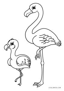 Coloriages Flamant Rose Coloriages Gratuits à Imprimer