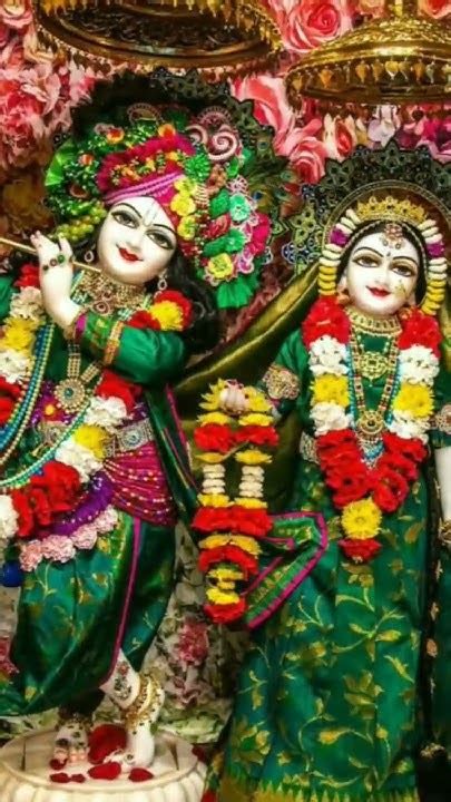 राधे राधे 💫 राधे कृष्णा 🙏 राधे श्याम ️ Radheshyam Radhakrishna राधे