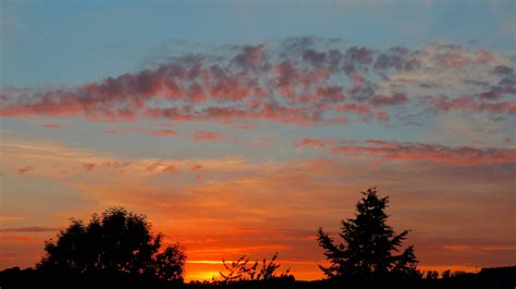 Sunset in Germany : r/pics