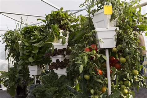 Hydroponic Vegetable Production Panhandle Agriculture