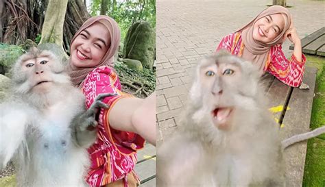 Sederet Seleb Ini Pernah Foto Bareng Monyet Di Bali Mana Paling Gemas