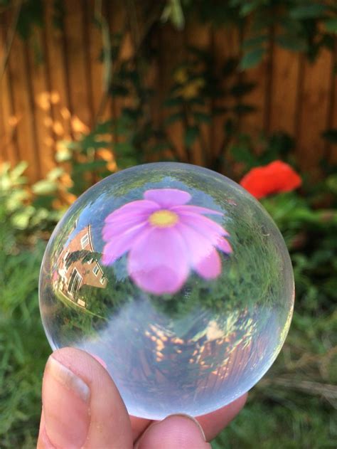 flower   bubble christmas bulbs holiday decor flowers